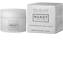 Noagy Balsamo Labbra Vasetto 15 ml