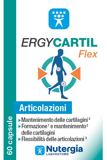 Ergycartil Flex 90 Capsule