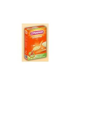 Plasmon Gemmine 340 g 1 Pezzo