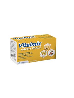 VITALMIX PAPPA REALE 10FLACONCINI X10 ML S/GL