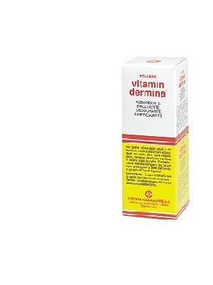 VITAMINDERMINA POLVERE 100 G