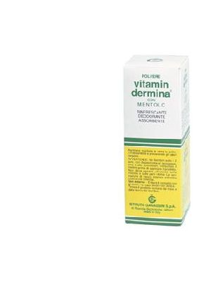 VITAMINDERMINA POLVERE MENT 100 G